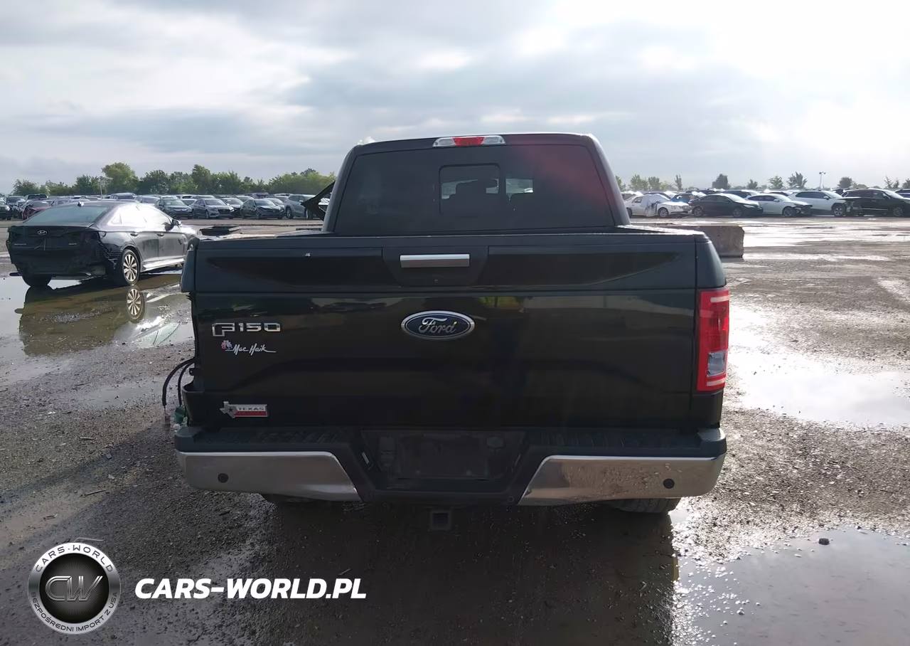 2016 Ford F-150 Xlt VIN:1FTEW1CP9GKD37851 - 16