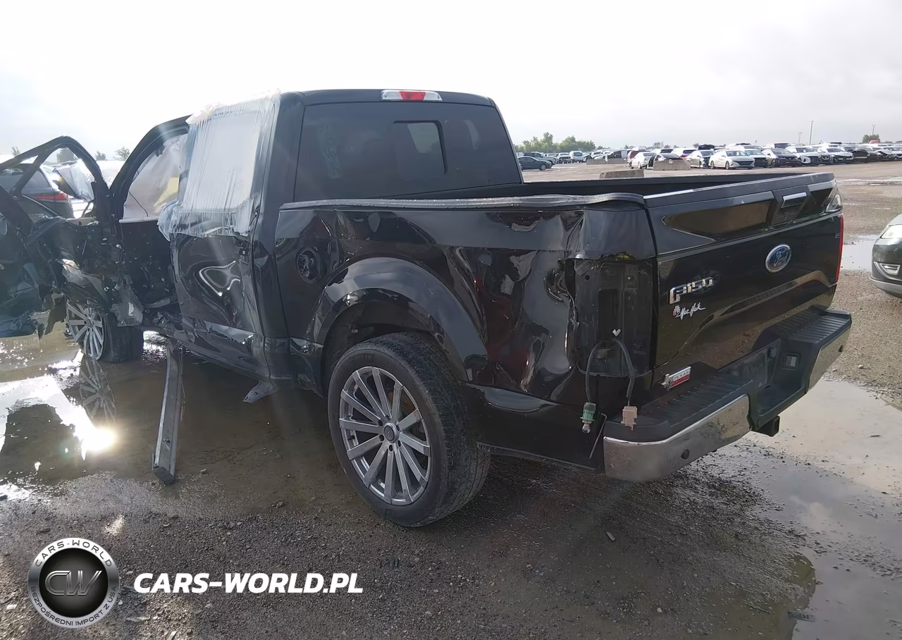 2016 Ford F-150 Xlt VIN:1FTEW1CP9GKD37851 - 3