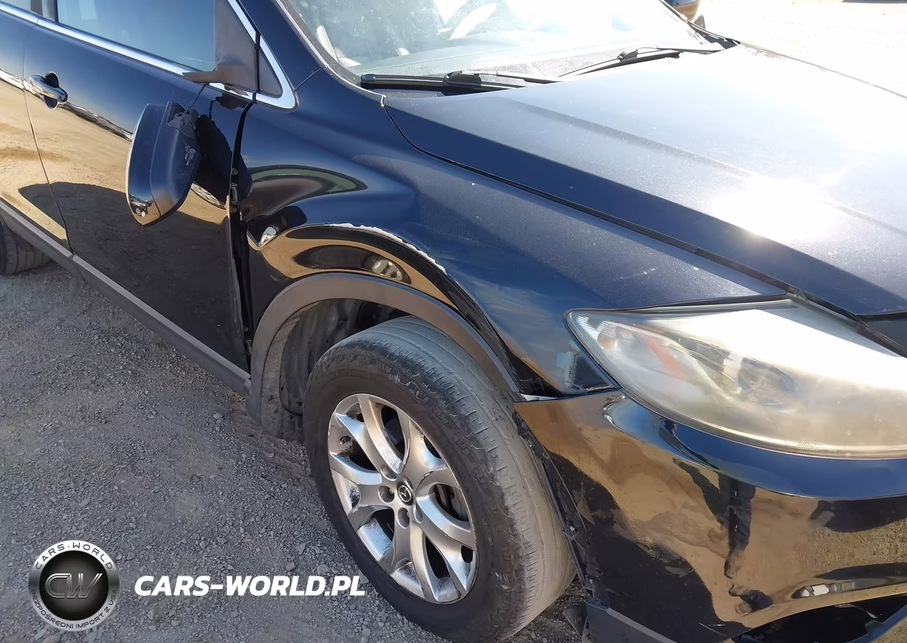 2015 Mazda Cx-9 Touring VIN:JM3TB2CA3F0466836 - 6