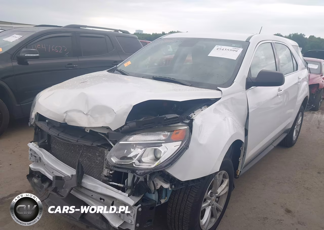 2017 Chevrolet Equinox Ls VIN:2GNFLEEK6H6335881 - 2