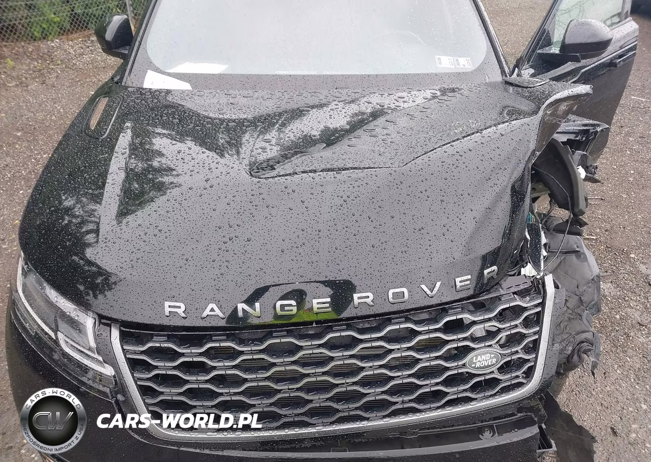 2019 Land Rover Range Rover Velar P250 R-Dynamic Se VIN:SALYL2EX1KA231698 - 10