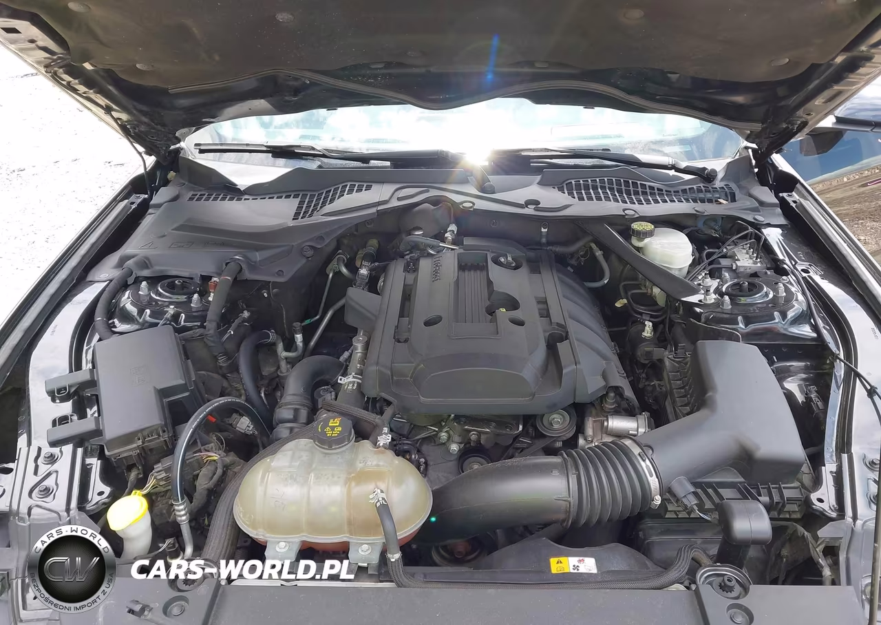 2017 Ford Mustang Ecoboost Premium VIN:1FATP8UH5H5293504 - 10