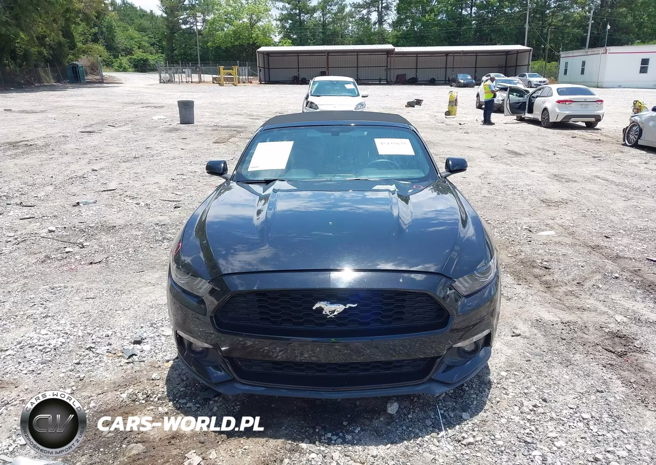 2017 Ford Mustang Ecoboost Premium VIN:1FATP8UH5H5293504 - 12