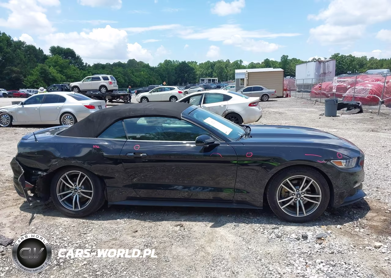 2017 Ford Mustang Ecoboost Premium VIN:1FATP8UH5H5293504 - 13