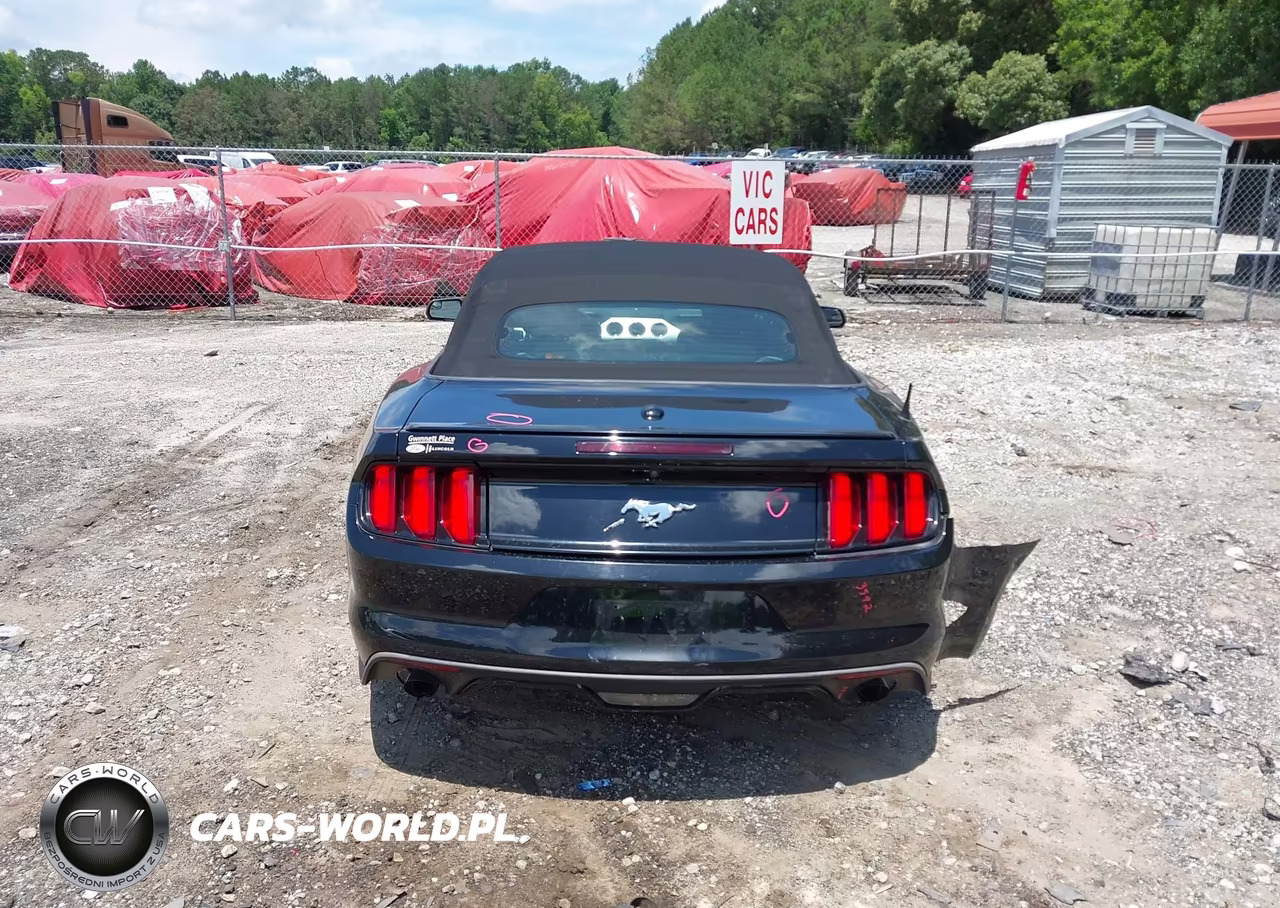 2017 Ford Mustang Ecoboost Premium VIN:1FATP8UH5H5293504 - 16