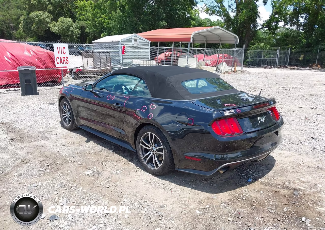 2017 Ford Mustang Ecoboost Premium VIN:1FATP8UH5H5293504 - 3