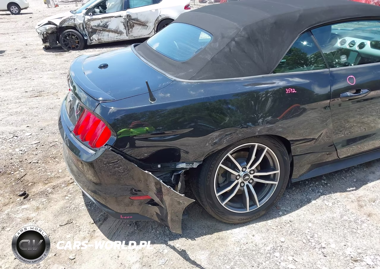 2017 Ford Mustang Ecoboost Premium VIN:1FATP8UH5H5293504 - 6