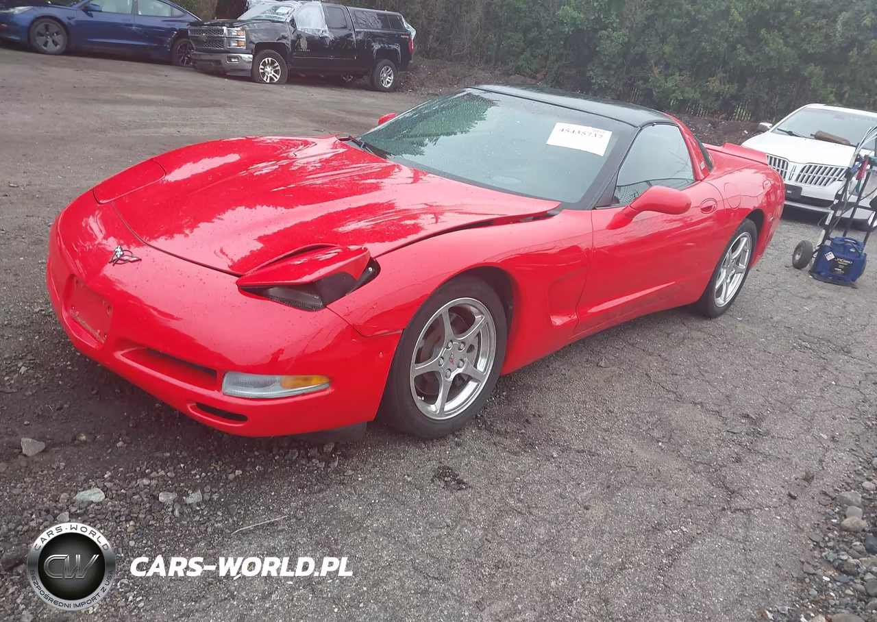 2002 Chevrolet Corvette VIN:1G1YY22G825109810 - 2