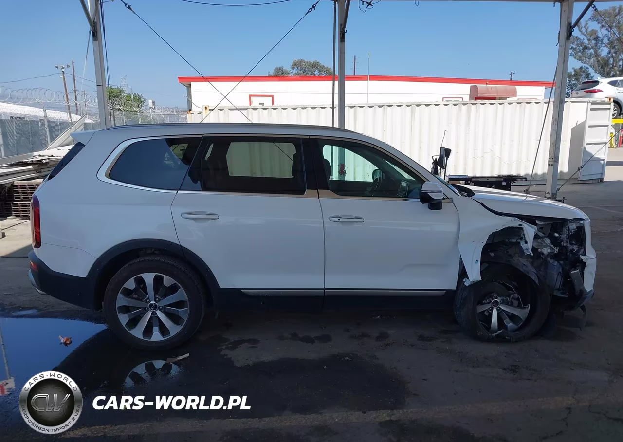 2020 Kia Telluride S VIN:5XYP6DHC1LG096321 - 13