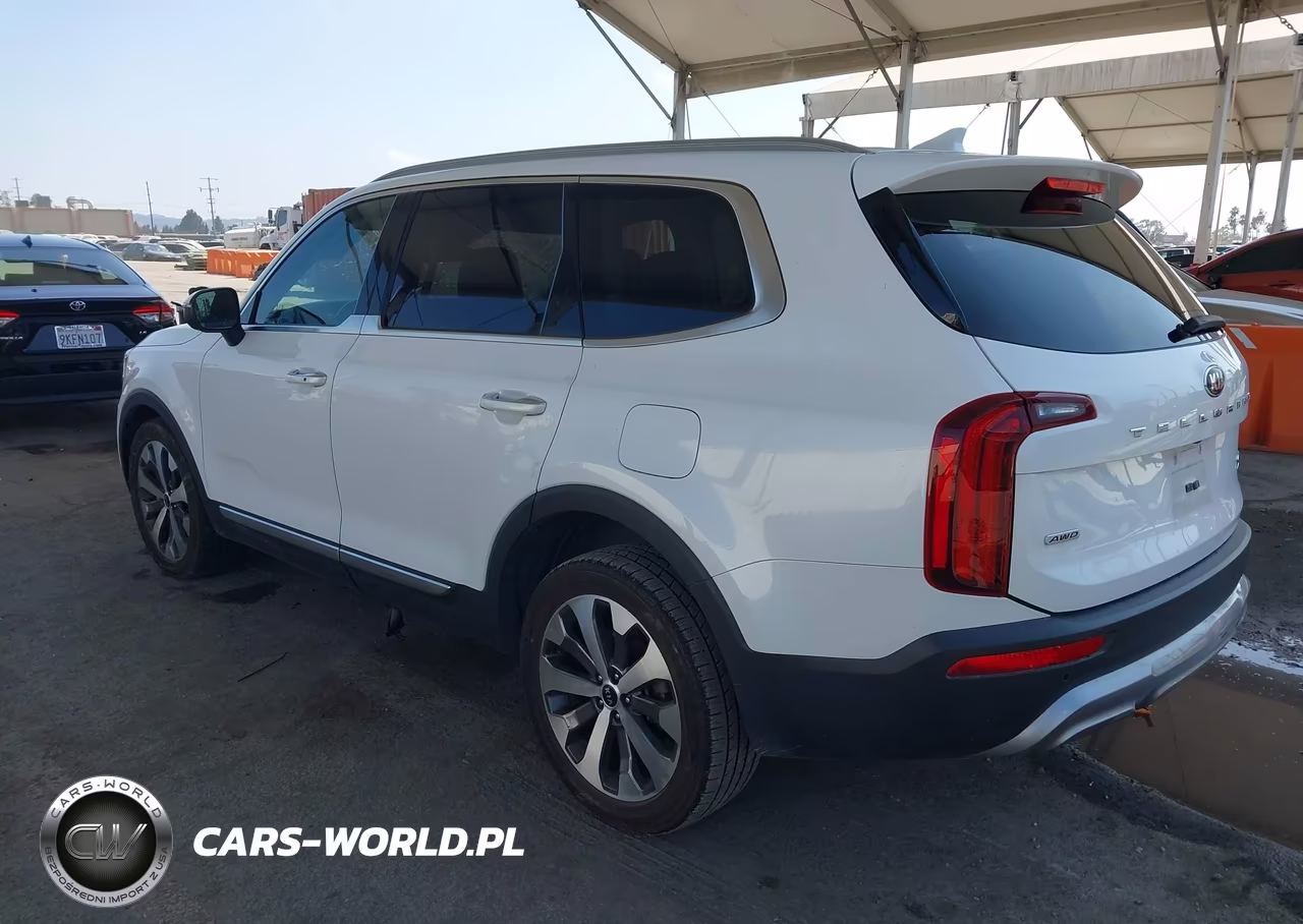 2020 Kia Telluride S VIN:5XYP6DHC1LG096321 - 3