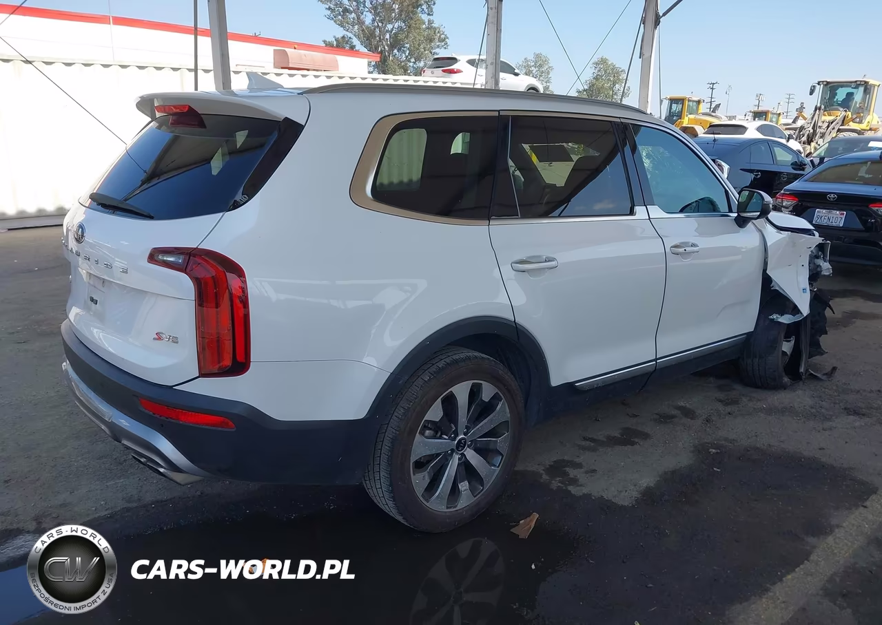 2020 Kia Telluride S VIN:5XYP6DHC1LG096321 - 4