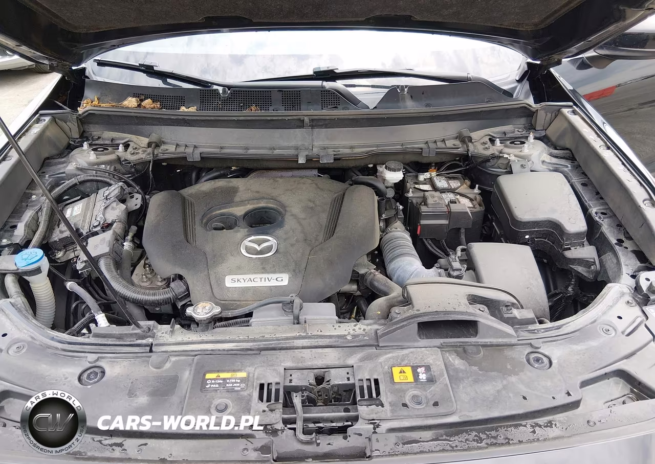 2021 Mazda Cx-9 Touring VIN:JM3TCBCY2M0514947 - 10