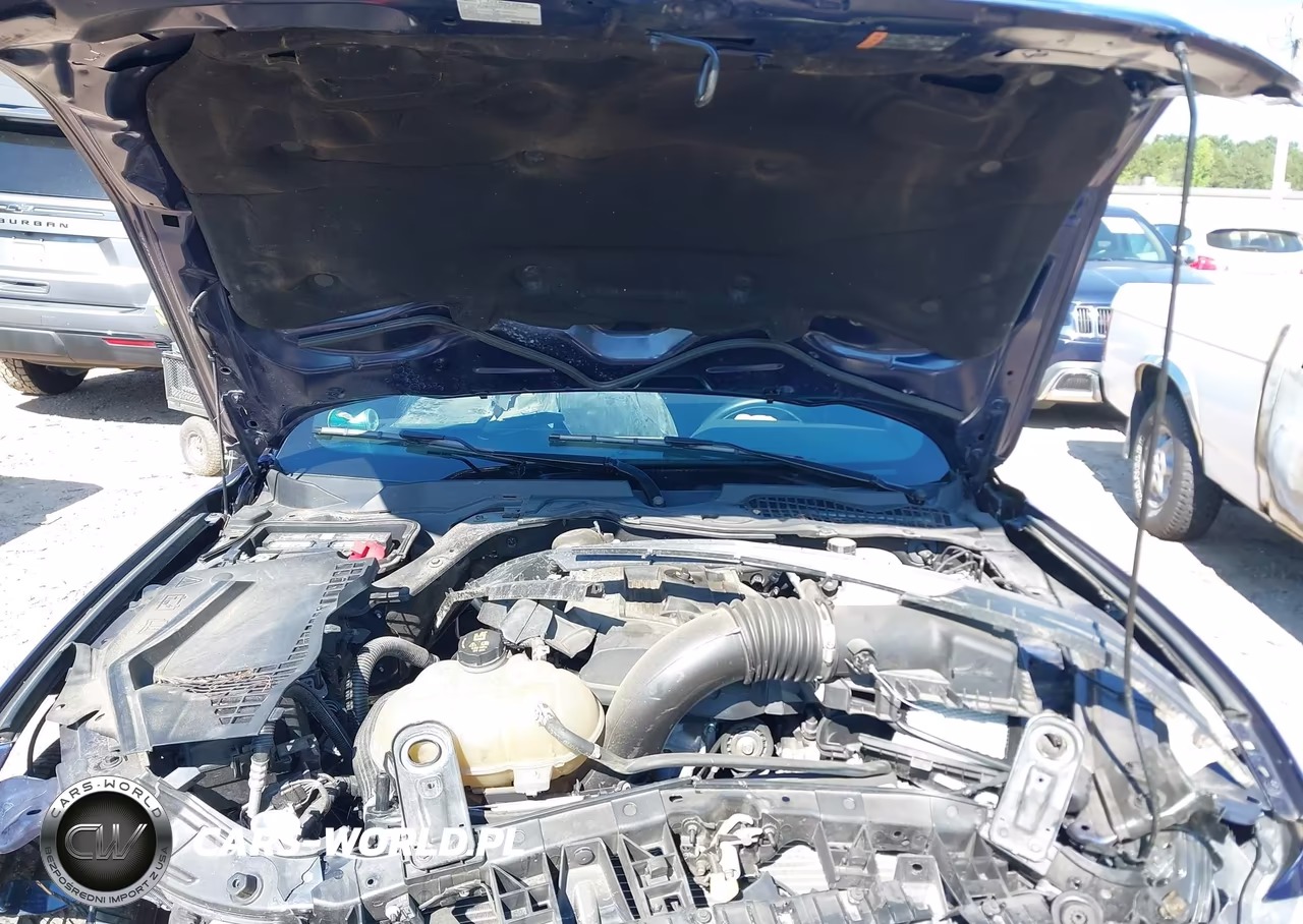 2020 Ford Mustang Ecoboost Fastback VIN:1FA6P8TH2L5170945 - 10