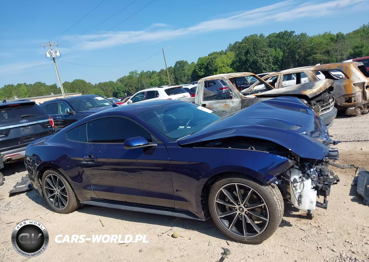 2020 Ford Mustang Ecoboost Fastback VIN:1FA6P8TH2L5170945 - 13