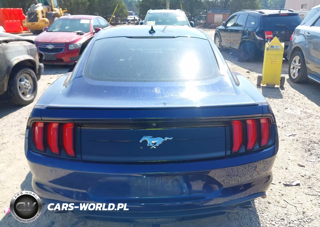2020 Ford Mustang Ecoboost Fastback VIN:1FA6P8TH2L5170945 - 16