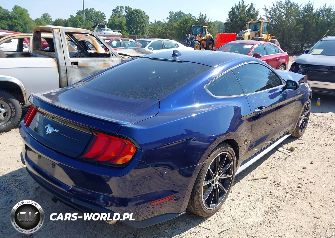 2020 Ford Mustang Ecoboost Fastback VIN:1FA6P8TH2L5170945 - 4