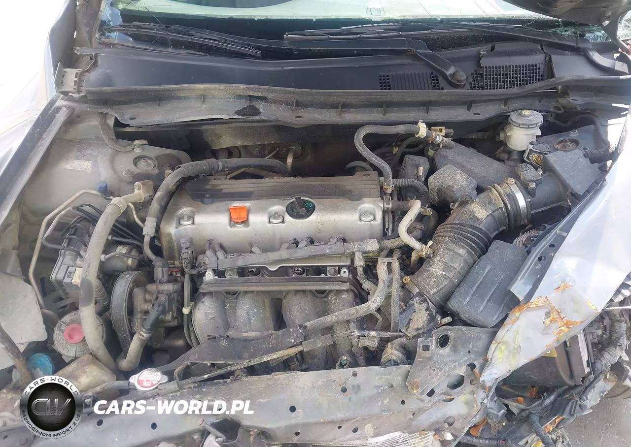 2010 Honda Accord 2.4 Lx VIN:1HGCP2F33AA166984 - 10