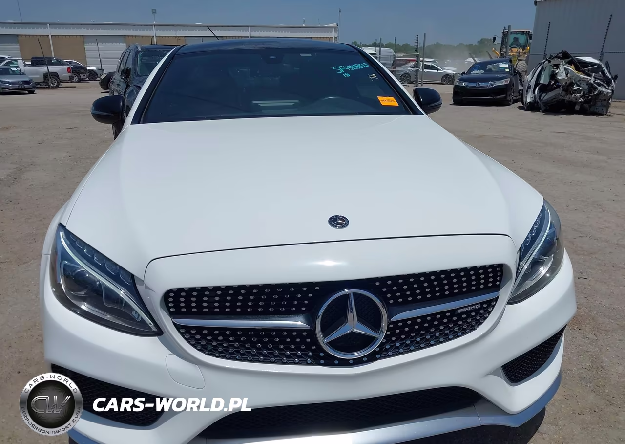 2018 Mercedes-Benz Amg C 43 4Matic VIN:WDDWJ6EB8JF640885 - 12