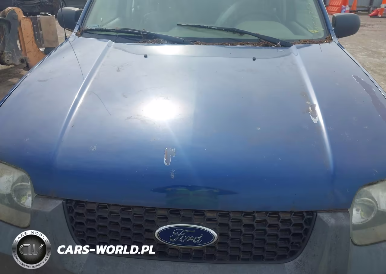 2007 Ford Escape Xls-Xls Manual VIN:1FMCU02Z87KB95255 - 6