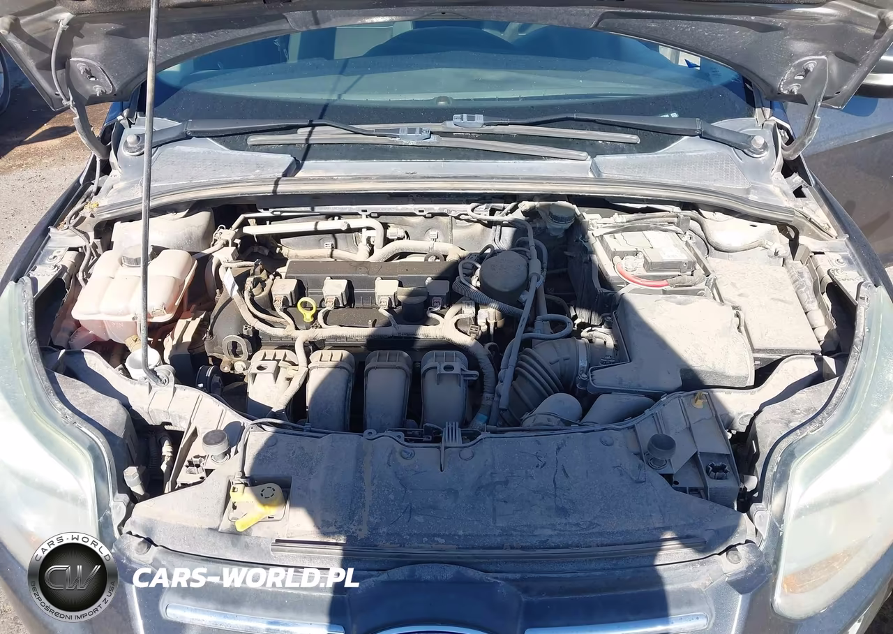 2013 Ford Focus Se VIN:1FADP3F28DL372686 - 10