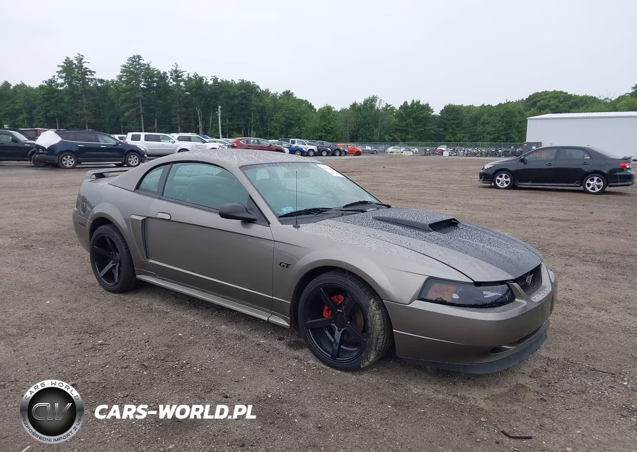 2002 Ford Mustang Gt Deluxe-Gt Premium