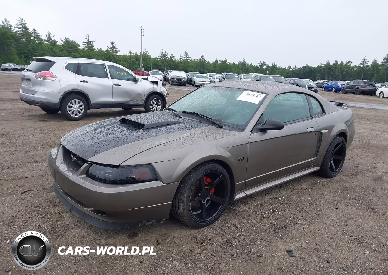 2002 Ford Mustang Gt Deluxe-Gt Premium VIN:1FAFP42X72F181272 - 2