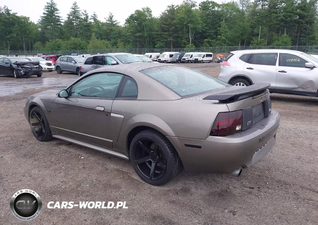 2002 Ford Mustang Gt Deluxe-Gt Premium VIN:1FAFP42X72F181272 - 3
