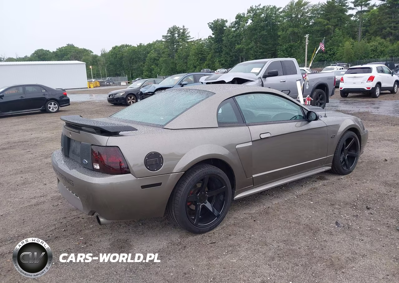 2002 Ford Mustang Gt Deluxe-Gt Premium VIN:1FAFP42X72F181272 - 4