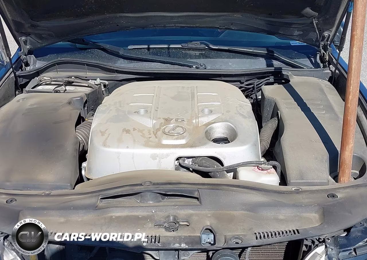2006 Lexus Gs 300 VIN:JTHBH96S165042525 - 10