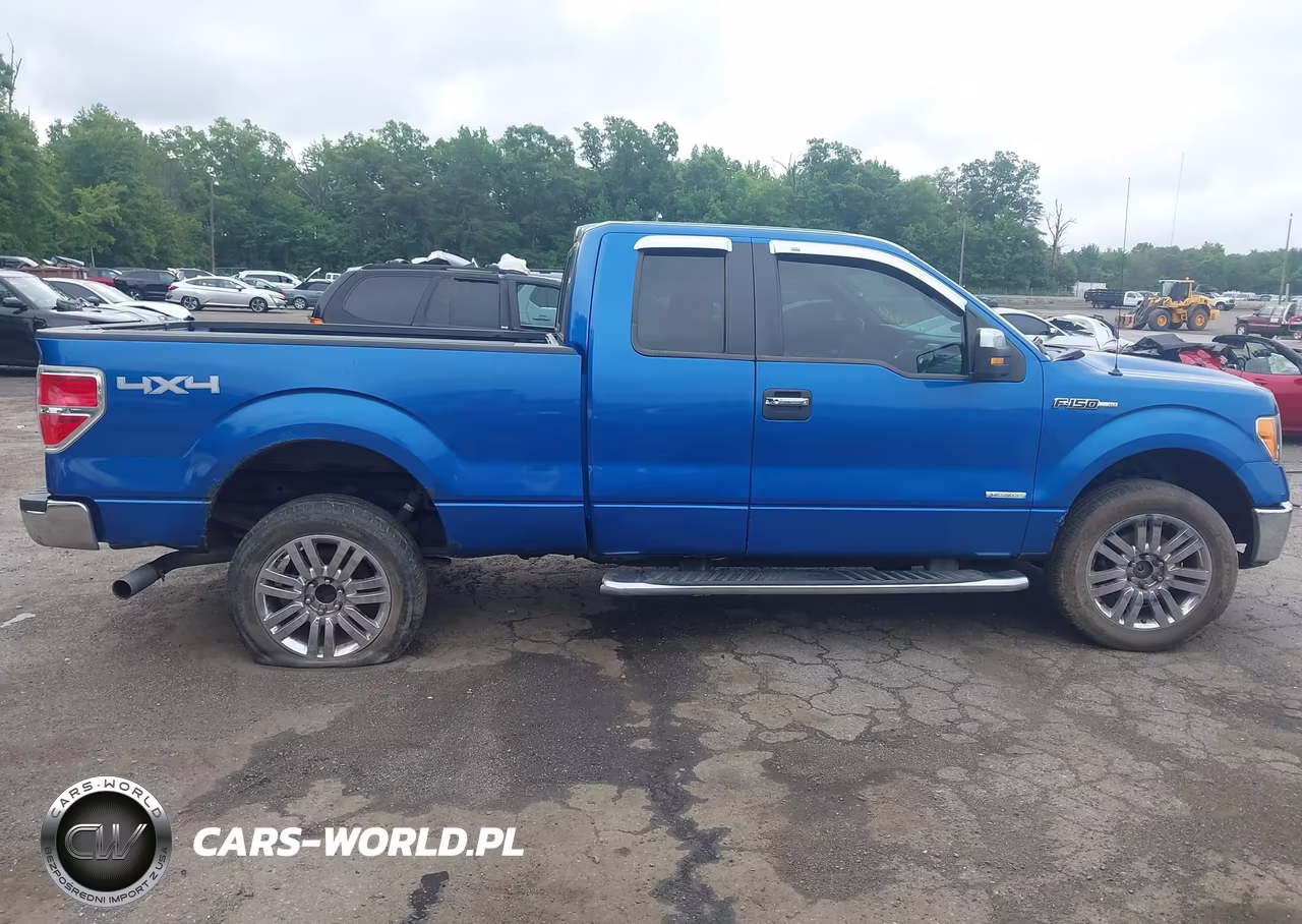 2011 Ford F-150 VIN:1FTFX1ET8BKD62048 - 13