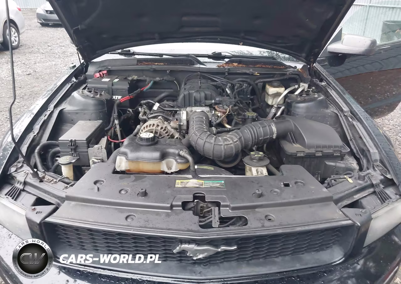 2007 Ford Mustang V6 Deluxe-V6 Premium VIN:1ZVFT84N775212216 - 10