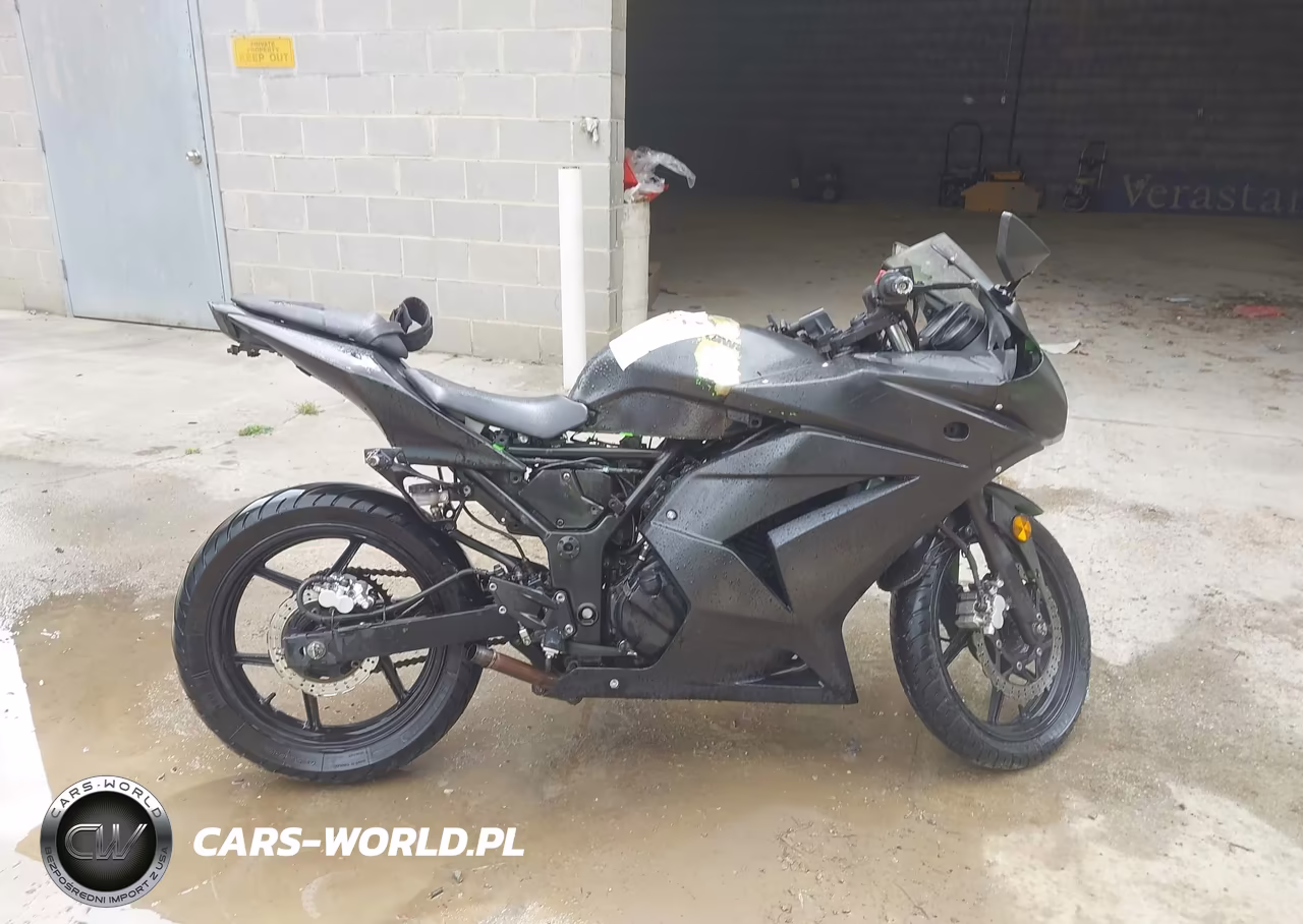 2012 Kawasaki Ex250 J VIN:JKAEXMJ18CDAB1821 - 11