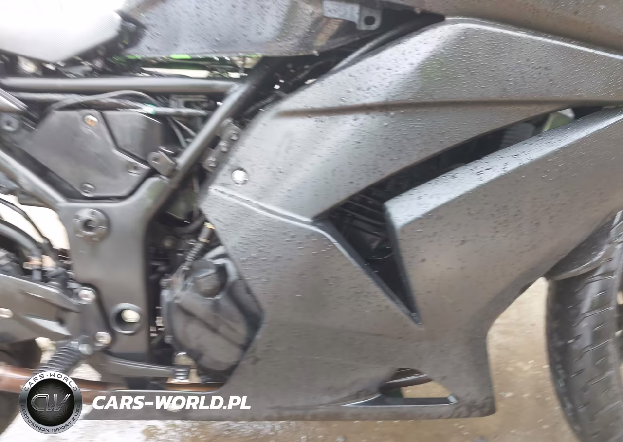 2012 Kawasaki Ex250 J VIN:JKAEXMJ18CDAB1821 - 8
