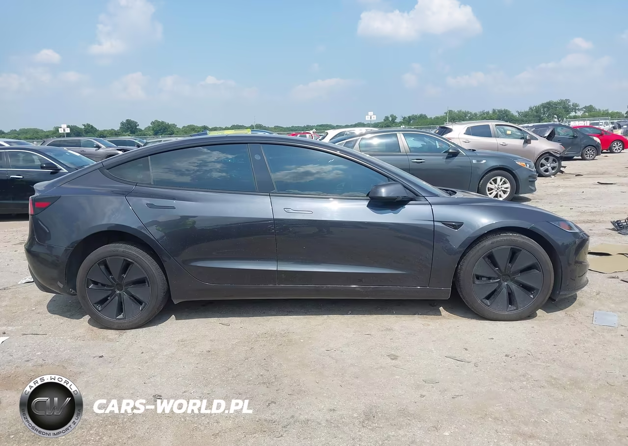 2025 Tesla Model 3 Long Range Rear-Wheel Drive-Standard Rear-Wheel Drive VIN:5YJ3E1EAXSF061589 - 11