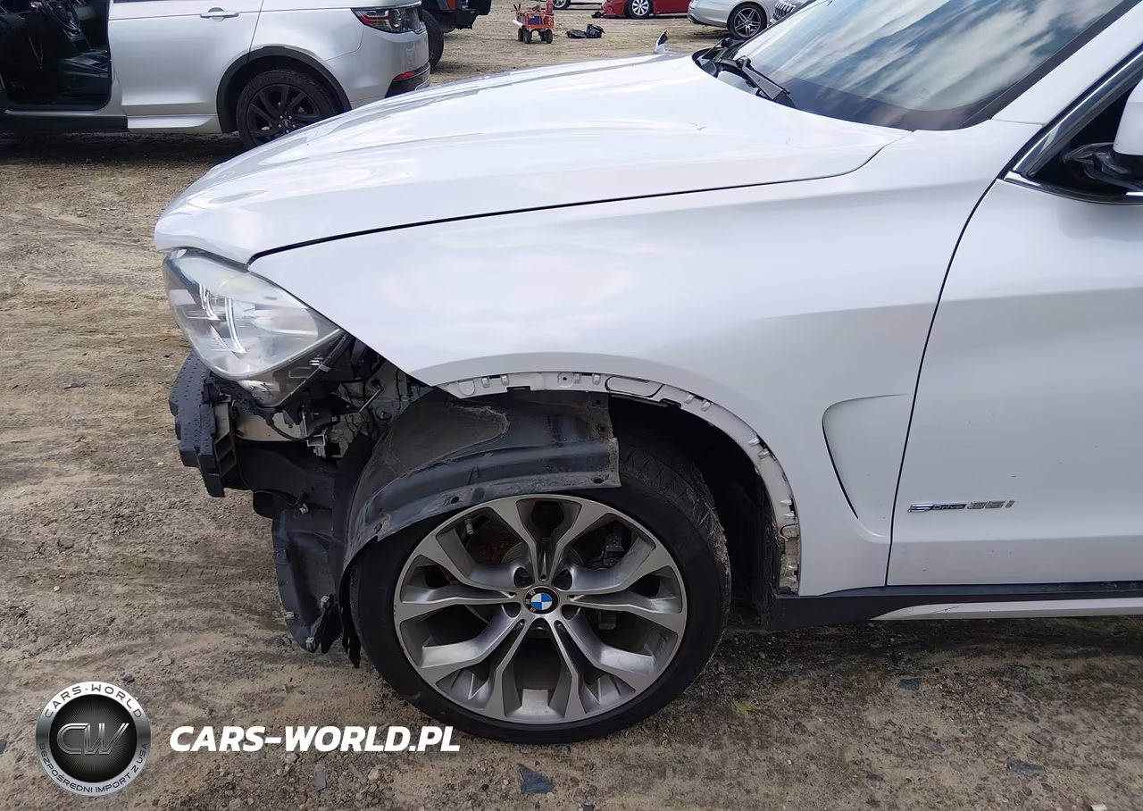 2018 BMW X5 Sdrive35I VIN:5UXKR2C57J0Z17521 - 19