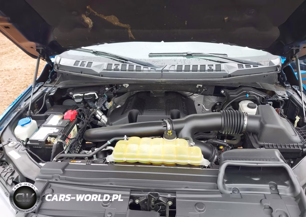 2019 Ford F-150 Xlt VIN:1FTEW1E43KFC19444 - 10