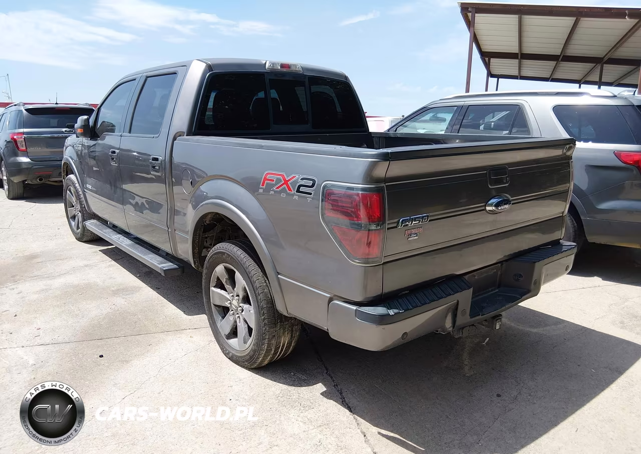 2013 Ford F-150 Fx2-King Ranch-Lariat-Limited-Platinum-Xl-Xlt VIN:1FTFW1CT9DFB51734 - 3