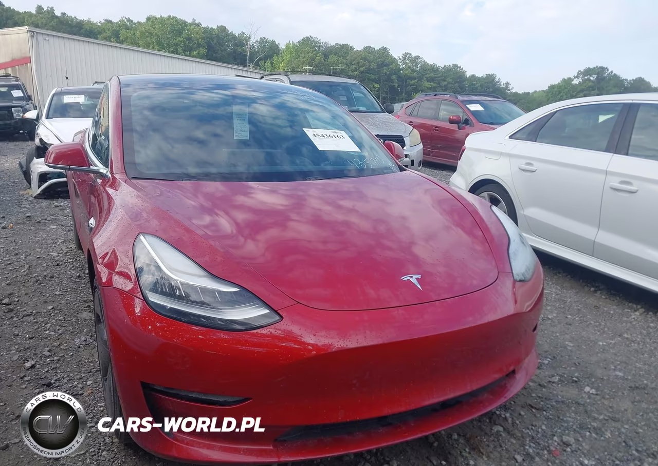 2019 Tesla Model 3 Long Range-Mid Range-Standard Range-Standard Range Plus