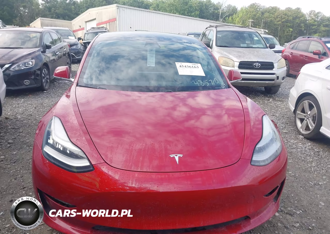 2019 Tesla Model 3 Long Range-Mid Range-Standard Range-Standard Range Plus VIN:5YJ3E1EA9KF435710 - 11