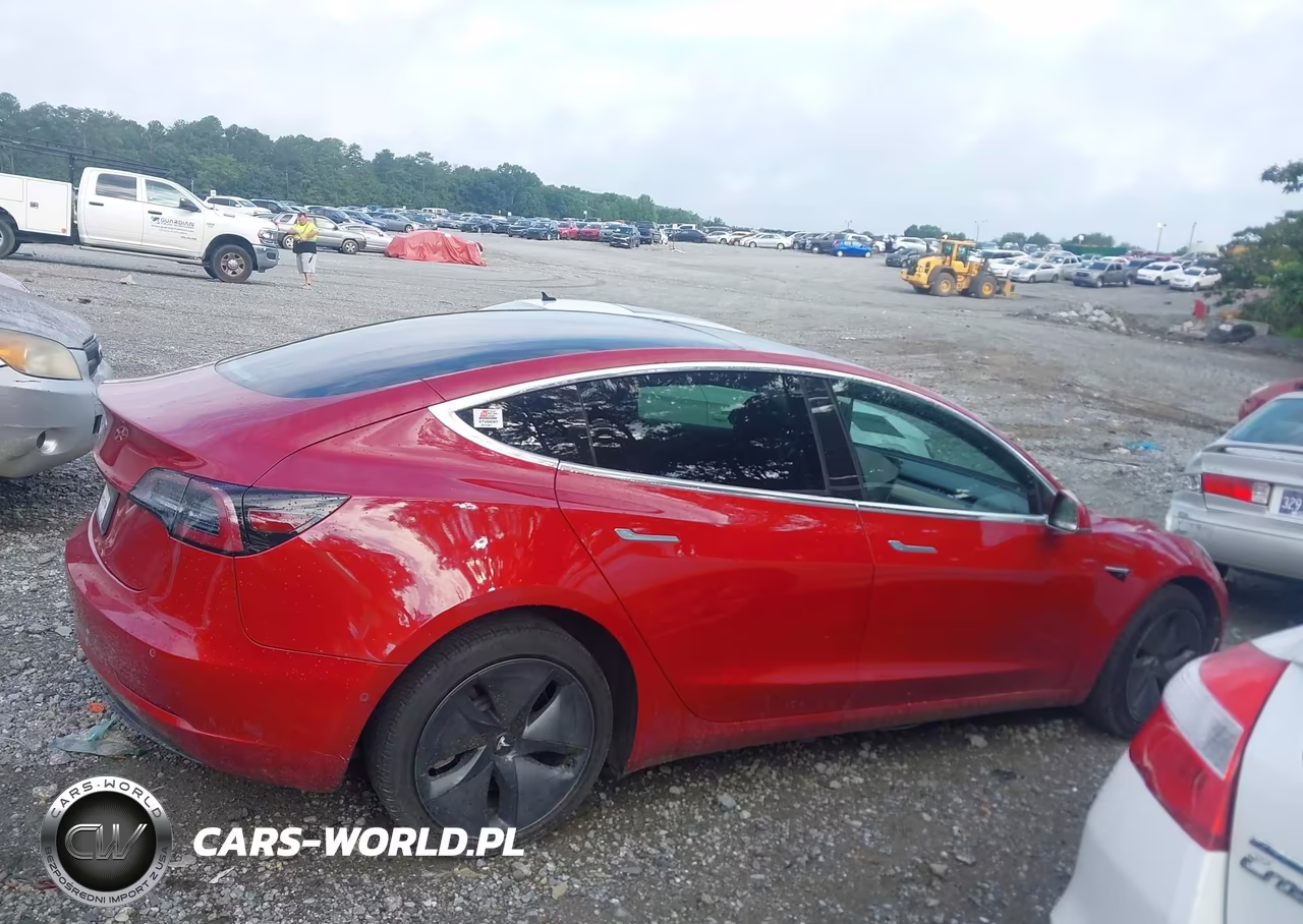 2019 Tesla Model 3 Long Range-Mid Range-Standard Range-Standard Range Plus VIN:5YJ3E1EA9KF435710 - 12