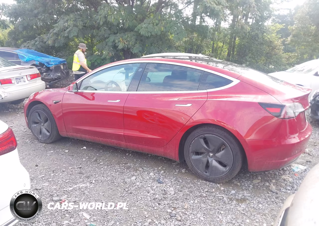 2019 Tesla Model 3 Long Range-Mid Range-Standard Range-Standard Range Plus VIN:5YJ3E1EA9KF435710 - 13