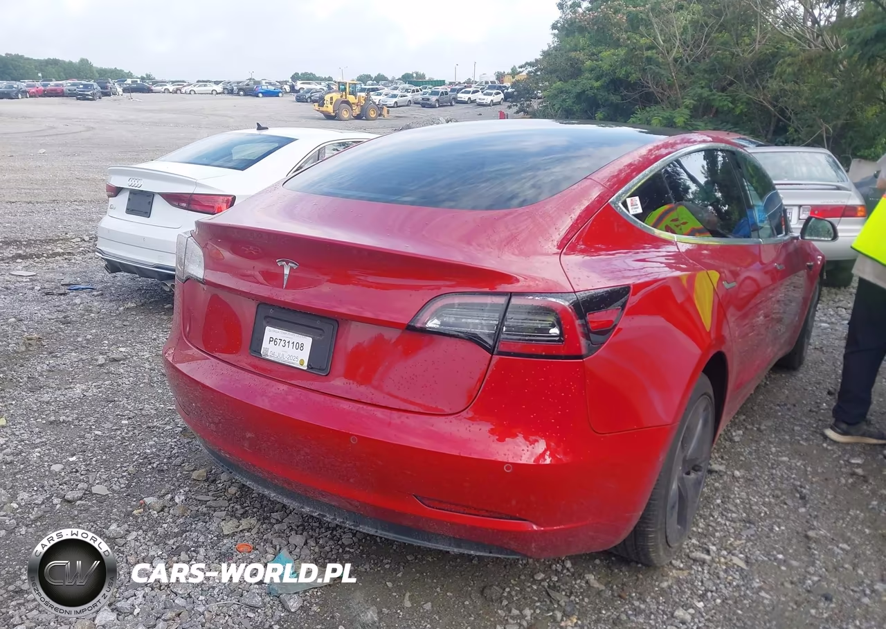 2019 Tesla Model 3 Long Range-Mid Range-Standard Range-Standard Range Plus VIN:5YJ3E1EA9KF435710 - 4