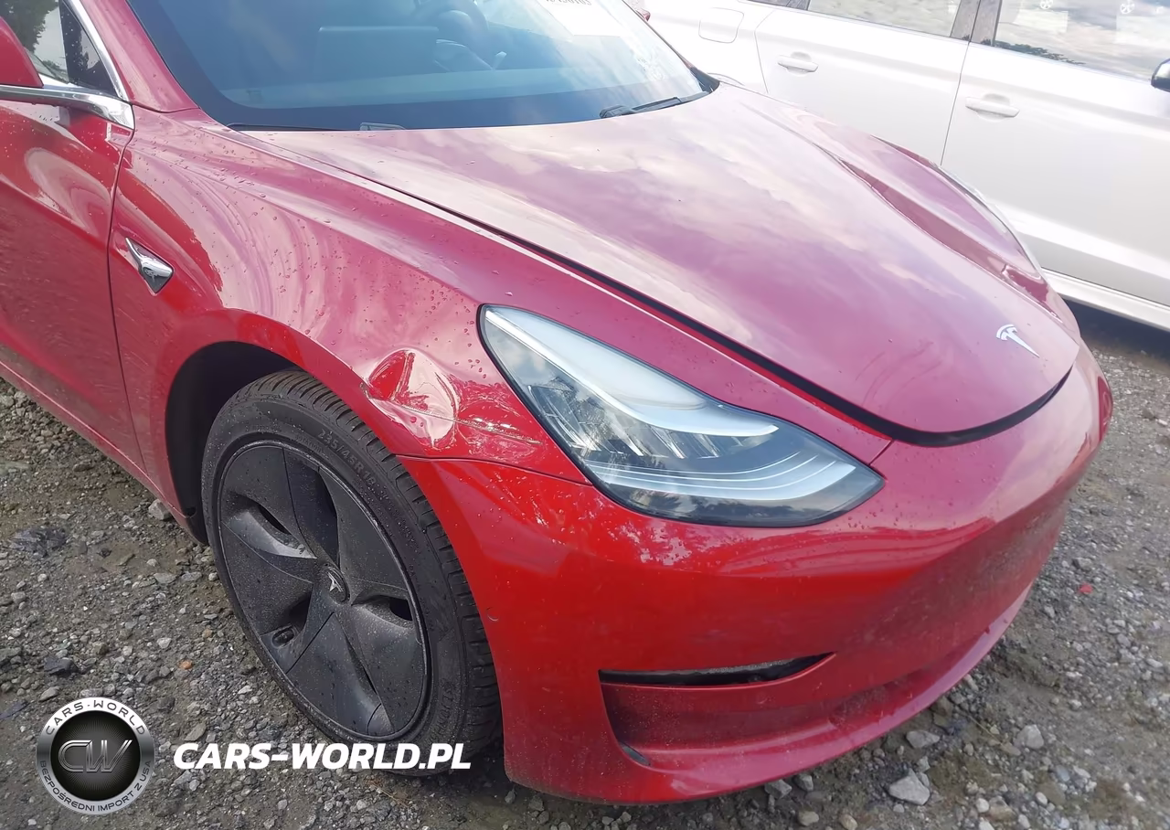 2019 Tesla Model 3 Long Range-Mid Range-Standard Range-Standard Range Plus VIN:5YJ3E1EA9KF435710 - 6