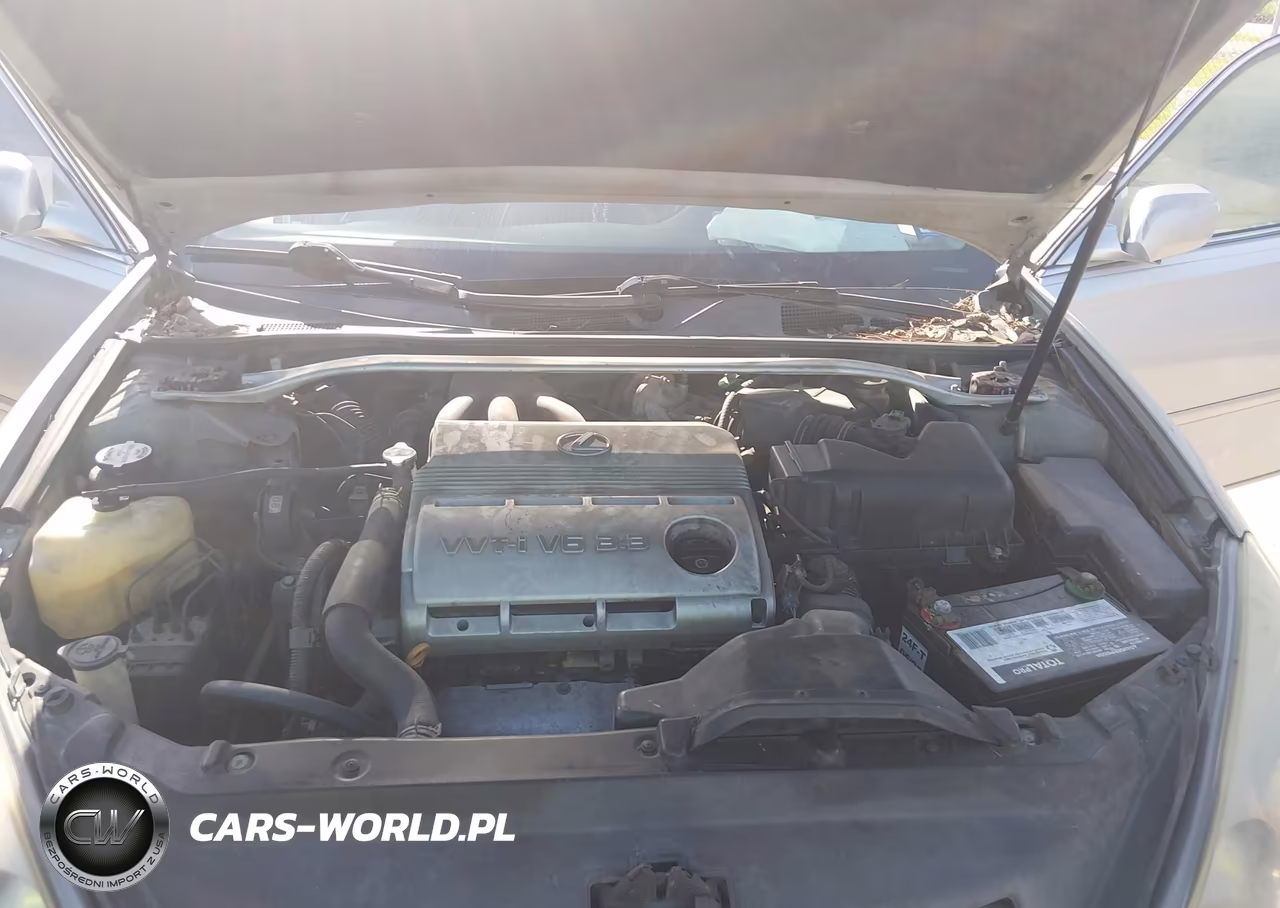 2004 Lexus Es 330 VIN:JTHBA30G940001415 - 10