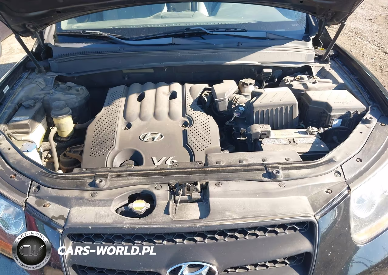 2008 Hyundai Santa Fe Gls VIN:5NMSG13D18H181744 - 10