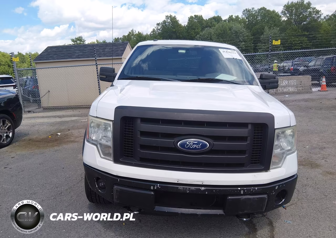 2010 Ford F-150 Fx4-Harley-Davidson-King Ranch-Lariat-Platinum-Xl-Xlt VIN:1FTFW1EV4AFD06748 - 12