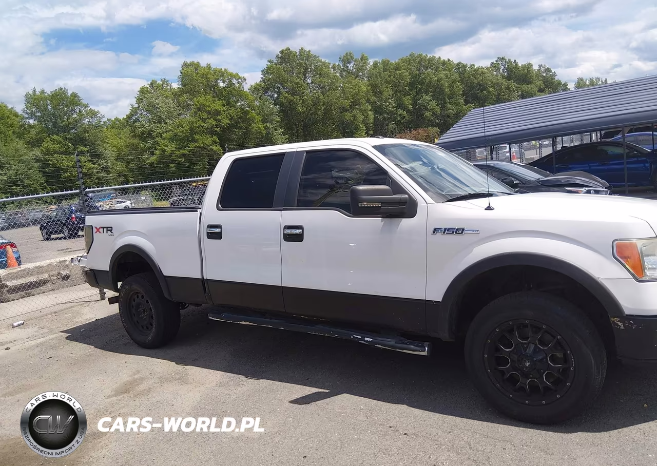 2010 Ford F-150 Fx4-Harley-Davidson-King Ranch-Lariat-Platinum-Xl-Xlt VIN:1FTFW1EV4AFD06748 - 13