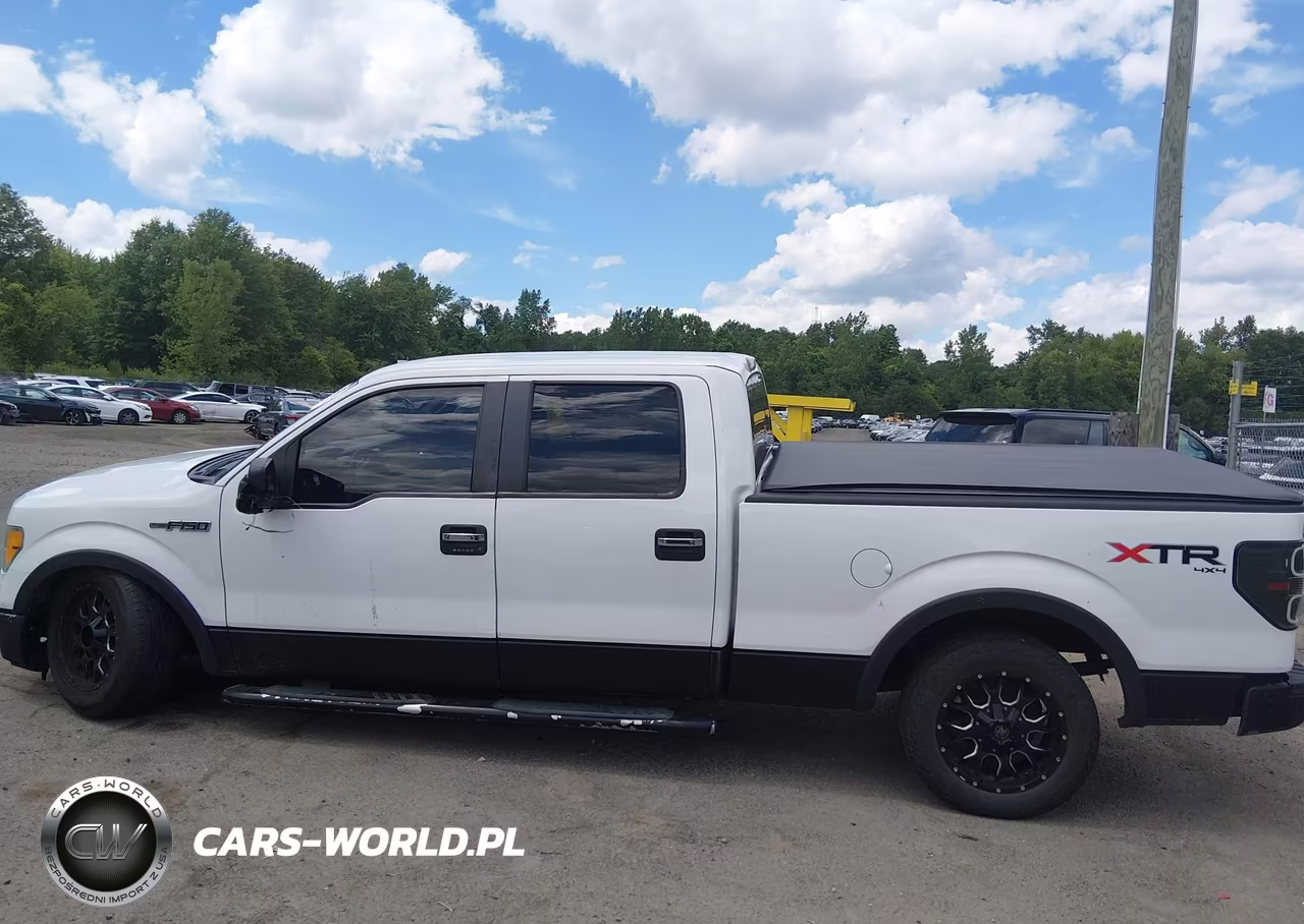 2010 Ford F-150 Fx4-Harley-Davidson-King Ranch-Lariat-Platinum-Xl-Xlt VIN:1FTFW1EV4AFD06748 - 14