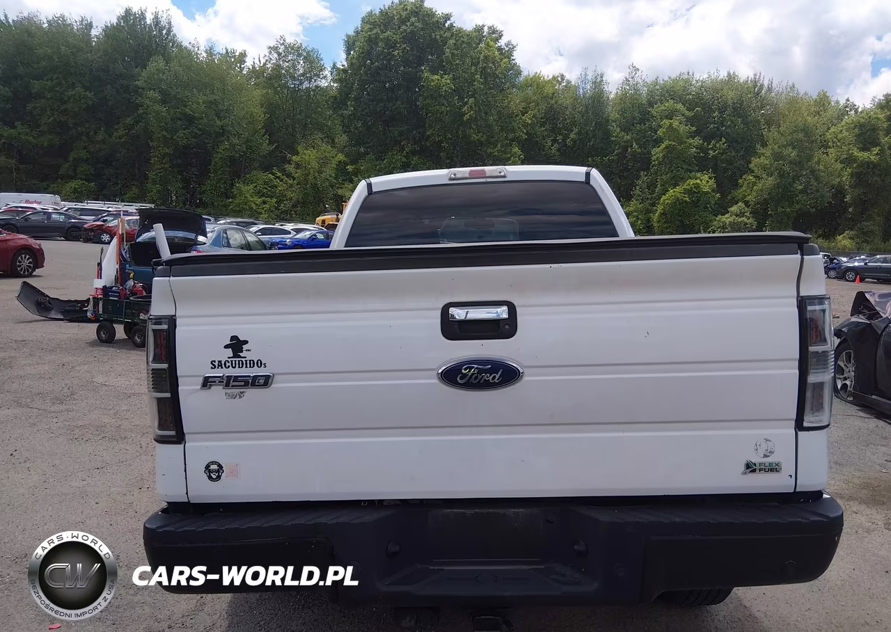 2010 Ford F-150 Fx4-Harley-Davidson-King Ranch-Lariat-Platinum-Xl-Xlt VIN:1FTFW1EV4AFD06748 - 16