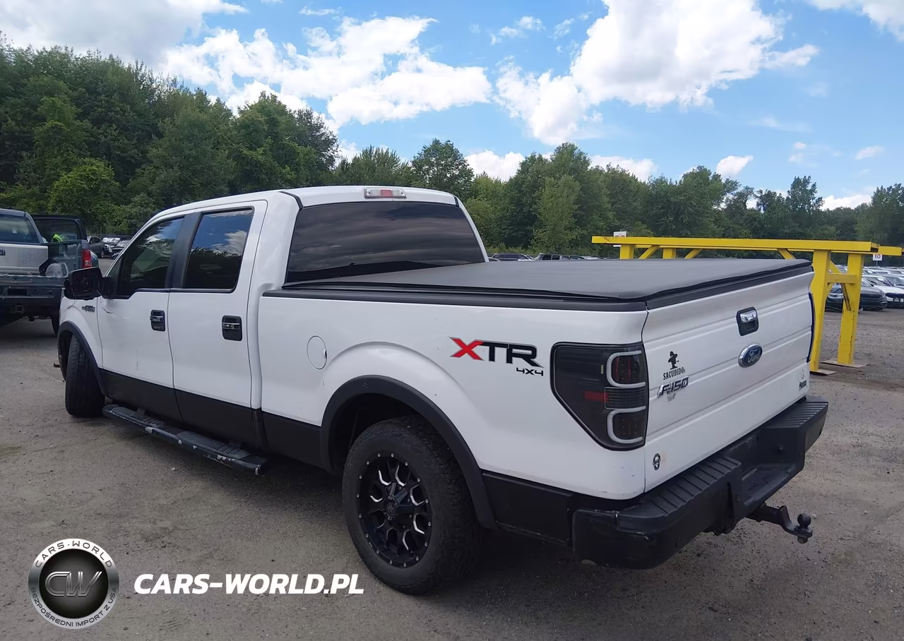 2010 Ford F-150 Fx4-Harley-Davidson-King Ranch-Lariat-Platinum-Xl-Xlt VIN:1FTFW1EV4AFD06748 - 3